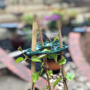 Wigwam Cane <br>Grip Support - Image 2