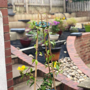 Wigwam Cane <br>Grip Support - Image 3