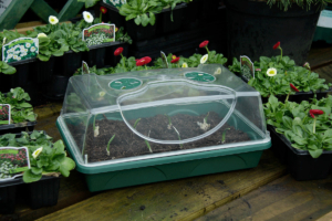 38cm Medium <br>Propagator - Image 7