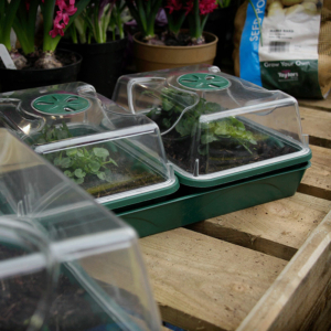 3-Bay Windowsill <br>Propagator - Image 5