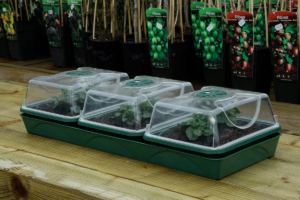 3-Bay Windowsill <br>Propagator - Image 4