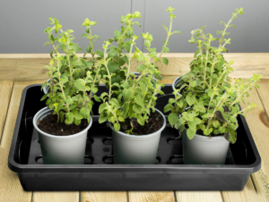 38cm Medium <br>Gravel Tray - Image 10