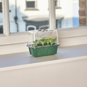 Mini High <br>Top Propagator - Image 3