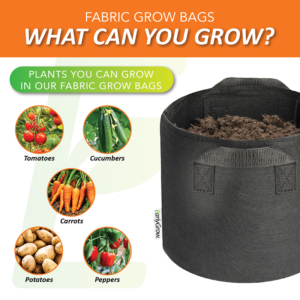 EarlyGrow Fabric Grow Bag Pots <br> &nbsp; - Image 4