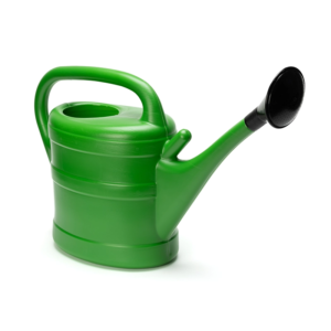 10L Plastic Watering Can - Image 1