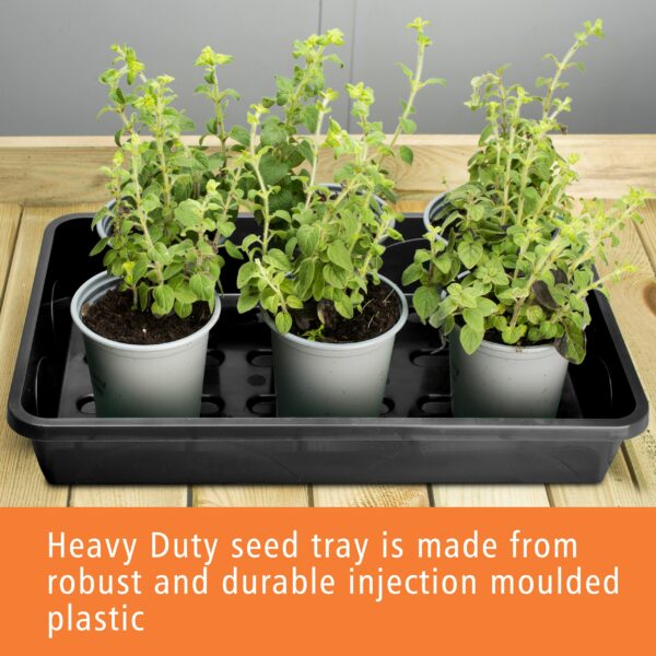 Medium 38cm Premium Rigid Seed Tray with Drainage Holes