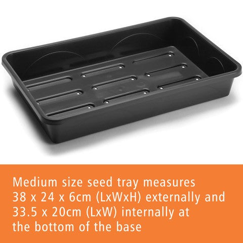 Medium 38cm Premium Rigid Seed Tray with Drainage Holes